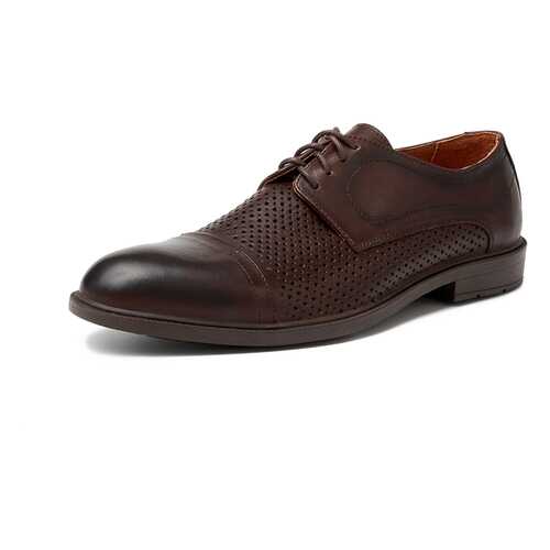 Туфли мужские Alessio Nesca M6118005 коричневые 40 RU в Tom Tailor