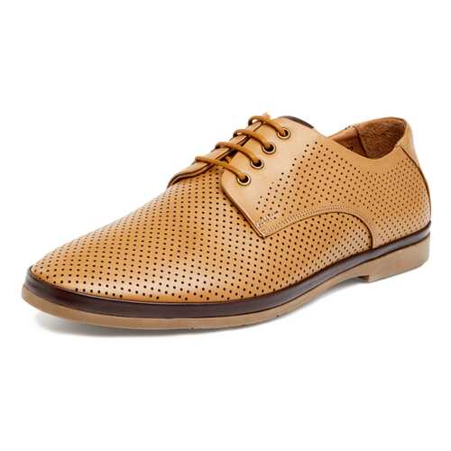 Туфли мужские Pierre Cardin 710017657 коричневые 40 RU в Tom Tailor