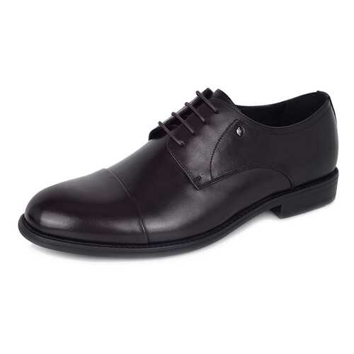 Туфли мужские Pierre Cardin DS20AW-3A коричневые 40 RU в Tom Tailor